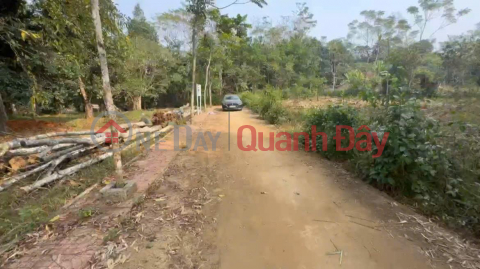 BEAUTIFUL LAND - GOOD PRICE - Owner Needs to Sell 5 Plots of Land in Quang Binh - Thach Quang. _0