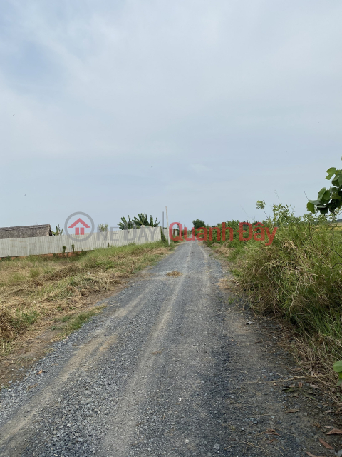Land for sale on Canal 10 road, only 300m from Ring Road 3. _0