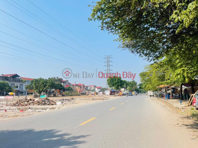 Selling land at auction X2 Sap Mai Vong La Dong Anh business Sales Listings