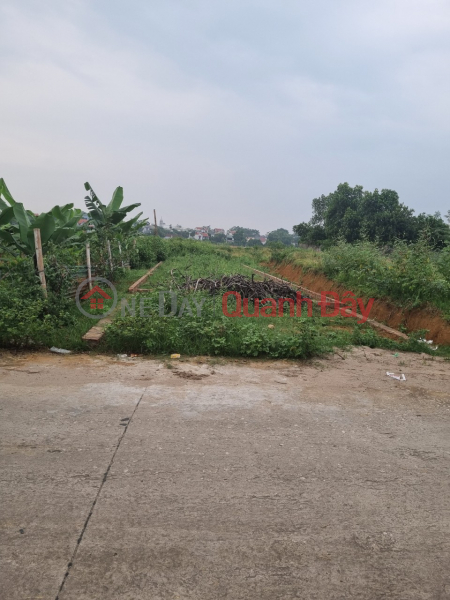 Property Search Vietnam | OneDay | Residential, Sales Listings, Need to sell cheap 108m of land at auction - Chuong My - Hanoi for 1.9 billion