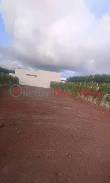 Property Search Vietnam | OneDay | Nhà ở | Niêm yết bán Chính chủ bán 2 lô đất liền kề đối diện KCN Đất Đỏ - Mỗi lô 173m2, gần biển, chỉ 2,8 tỷ 1 lô