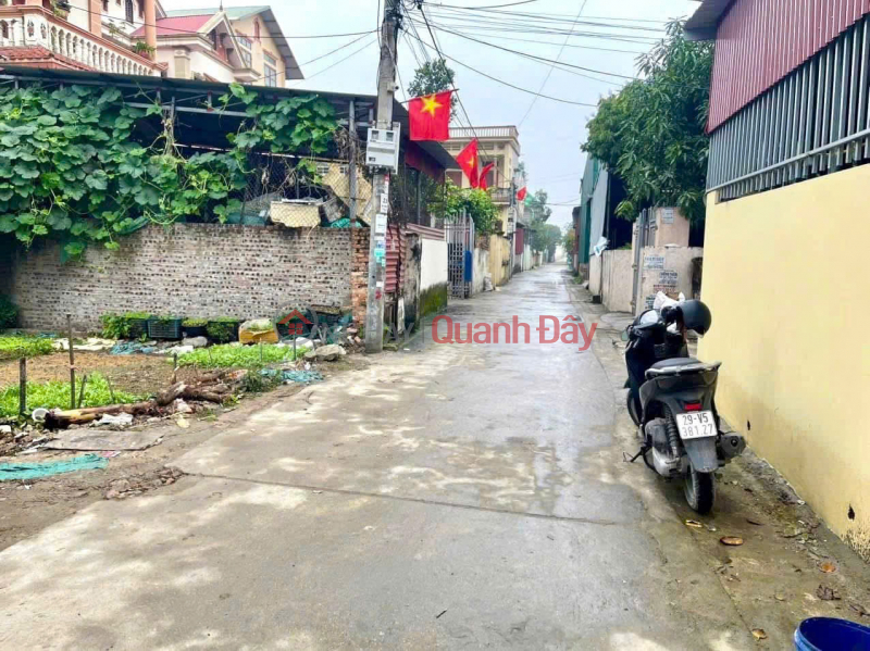 CHính Chủ Cần Bán Lô Đất Đẹp THôn Bùi -Xã Cẩm Xá-Tx Mỹ Hào - Hưng Yên​ | Việt Nam Bán, đ 2,86 tỷ
