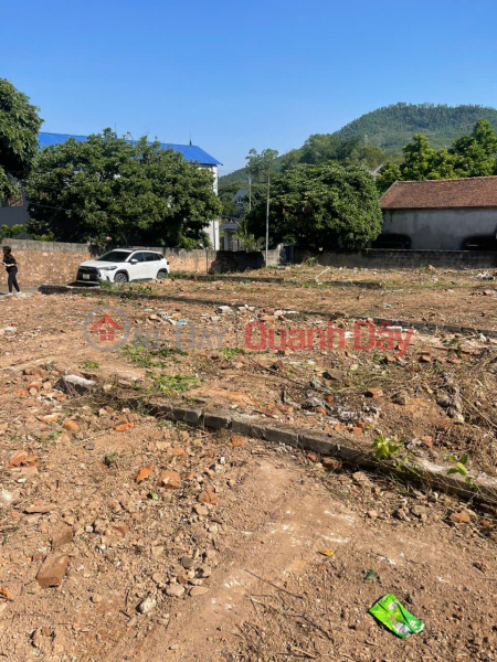 Land owner Lien Son village, Tien Phong commune, Yen Dung district, Bac Giang Vietnam Sales | đ 1.6 Billion