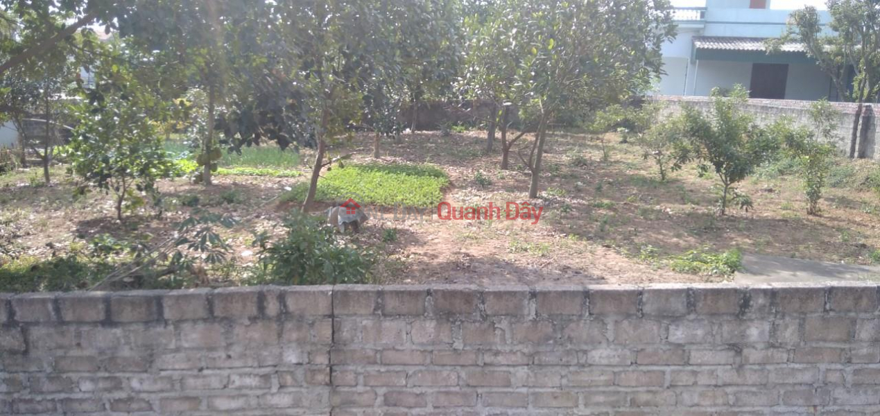 BEAUTIFUL LAND - GOOD PRICE - Land Lot For Sale Location In Hoang Tien Ward, Chi Linh City, Hai Duong Sales Listings