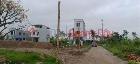 Owner needs to sell land lot in Dong Phong, Minh Duc Ward, Do Son District, Hai Phong _0