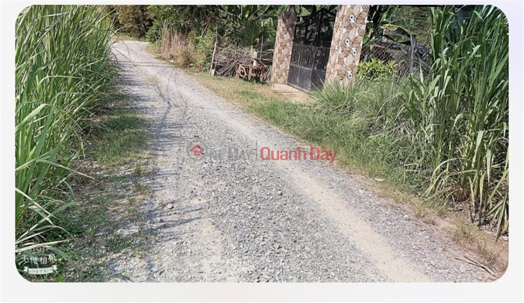 Property Search Vietnam | OneDay | Residential, Sales Listings, Immediately Own a Front Lot of Land in a Beautiful Location in Suoi Da Commune, Duong Minh Chau District - Tay Ninh