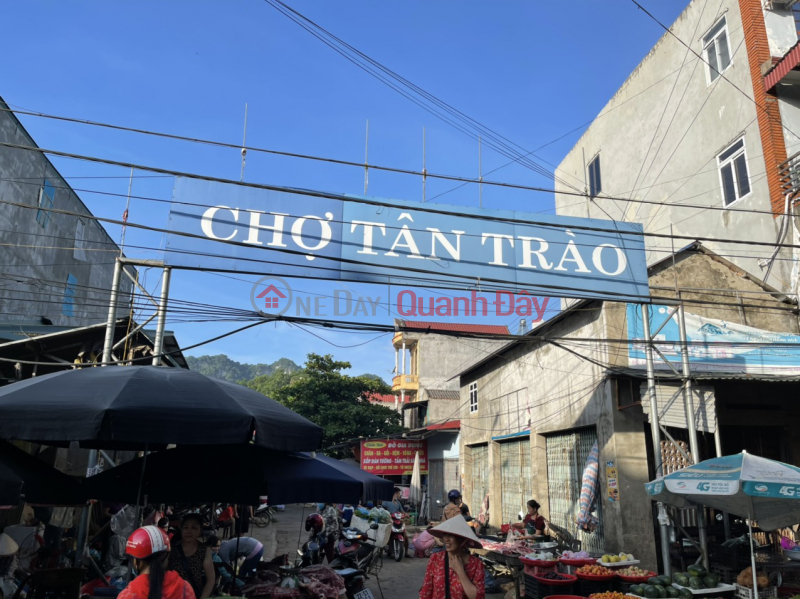 Property Search Vietnam | OneDay | Nhà ở Niêm yết bán | Bán nhà thổ cư tại Tân Trào, Sơn Dương, Tuyên Quang. Cách chợ 1,5km. Kinh doanh dc. Giá 30 tr/m2