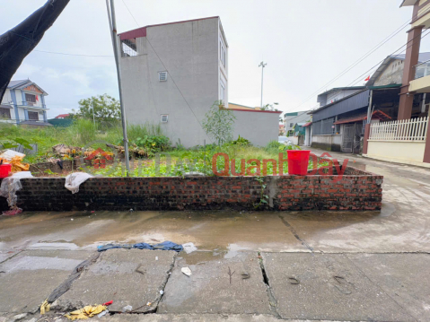 Urgent Sale of Unique Corner Lot with 2 Street Frontages - Good Price in Ap Tre Village, Quang Minh, Hanoi _0