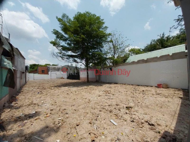 Property Search Vietnam | OneDay | Residential Sales Listings, Land Frontage Tran Thi Boc - Thoi Tam Thon - Hoc Mon - 10x35 - 312m2 - 14m Road With Sidewalk - Approximately 11 Billion