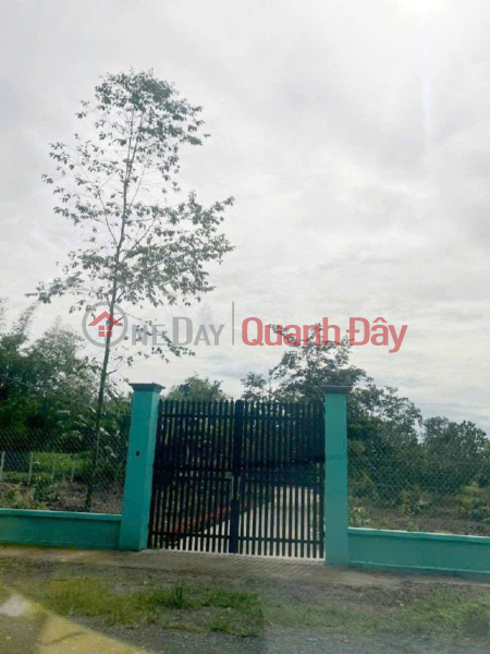 Đất Nở hậu Đường 8m thông 1851m2 – Cây Gỗ CC Niêm yết bán