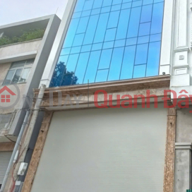 I'm renting out a house, 99m2 - 7 floors, Linh Lang, Dao Tan, Phan Ke Binh - 47 million VND. _0