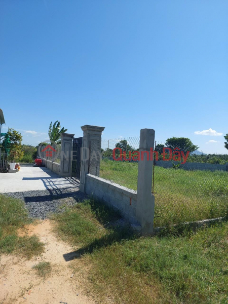 Property Search Vietnam | OneDay | Residential Sales Listings PRIME LAND FOR OWNER - GOOD PRICE FOR QUICK SELLING BEAUTIFUL LOT OF LAND IN Ham Chinh, Ham Thuan Bac