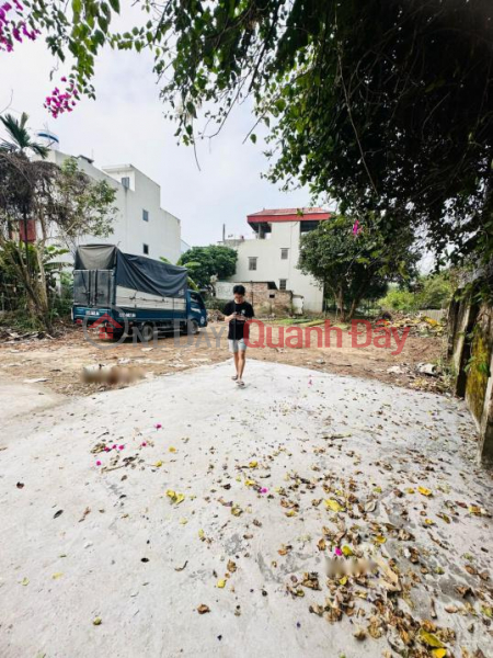 Property Search Vietnam | OneDay | Nhà ở Niêm yết bán Bán 40m2 đất phân lô Ngũ Hiệp, Thanh Trì giá đầu tư.