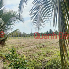 GREAT INVESTMENT OPPORTUNITY AT A GREAT PRICE - OWNER NEEDS TO SELL QUICKLY A PLOT OF LAND IN TAN THANH HAMLET, THU THUA COMMUNE, TAY NINH PROVINCE. _0