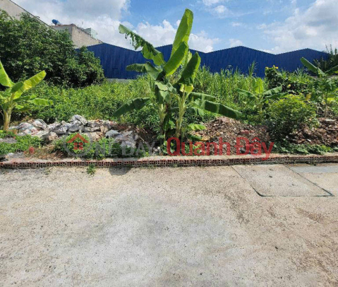 Beautiful square land, Truck alley 100m2 - Thanh Xuan 47, District 12 _0