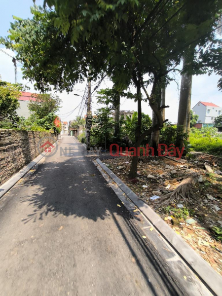 Property Search Vietnam | OneDay | Residential | Sales Listings For Investment !!! Land for sale in My Noi, Bac Hong, 105m2, full land for trucks to enter the house, over 3 billion, contact: 0936123469