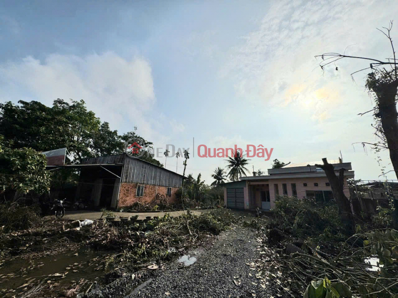 PRIME LAND - PROFITABLE INVESTMENT - Owner Selling Land Plot at Dinh Tien Hoang Street, Tan Hanh Ward, Vinh Long | Vietnam, Sales | đ 20 Billion