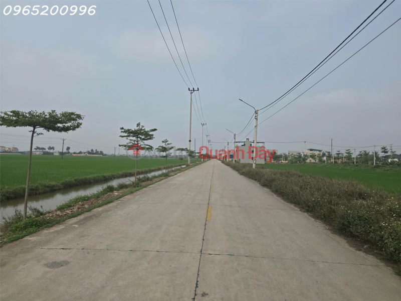 Property Search Vietnam | OneDay | Residential, Sales Listings Prime land for sale, located on the main road in Khanh Hoi commune, Yen Khanh district, Ninh Binh province, ideal for investment.