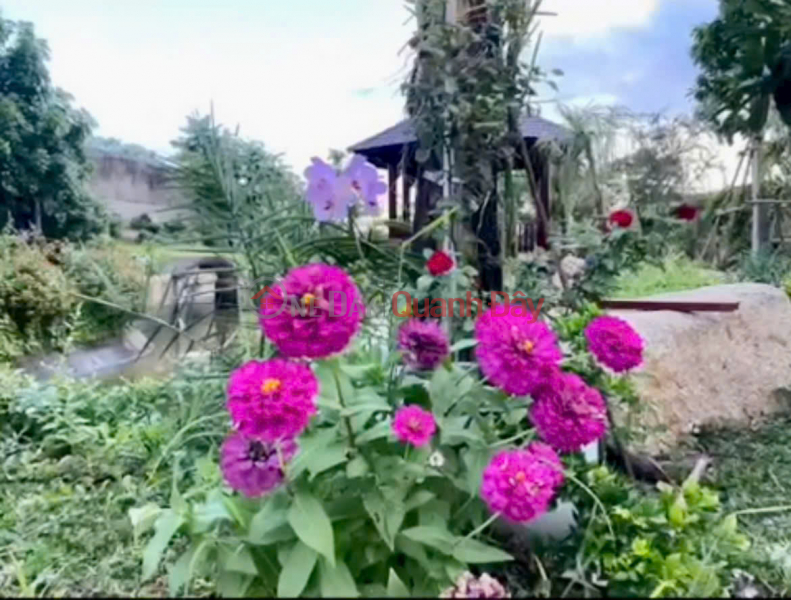 Villa with garden for rent or sale, located on Long Thuan road., Vietnam | Rental, đ 80 Million/ month