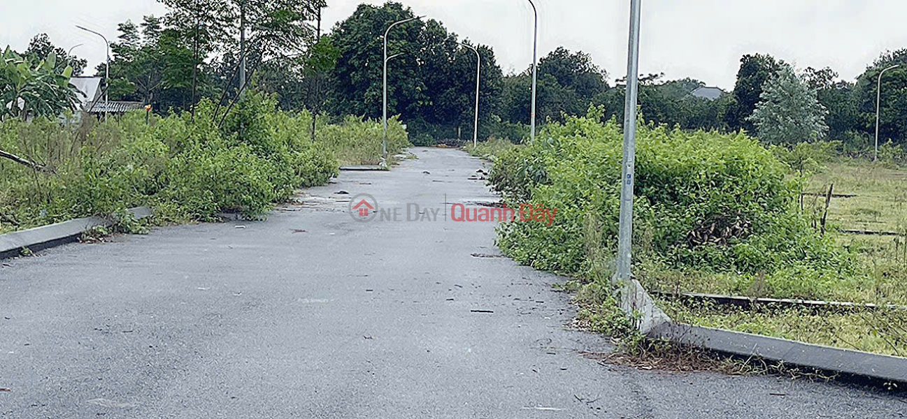 Ngay tại Cổ Đông - Hoà Lạc, lô đất 67m2 sát trục Hồ Tây - Ba Vì sắp mở, mà giá chỉ 1.xx tỷ, Việt Nam Bán | đ 1,9 tỷ