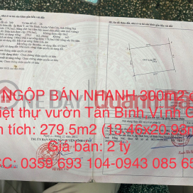 FAST SELLING LAND 300m2 of land to build a garden villa in Tan Binh commune, Vinh Cuu _0