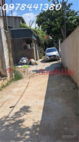 Land for sale by owner with new red book in Phung Chau Commune, Chuong My, Hanoi Sales Listings