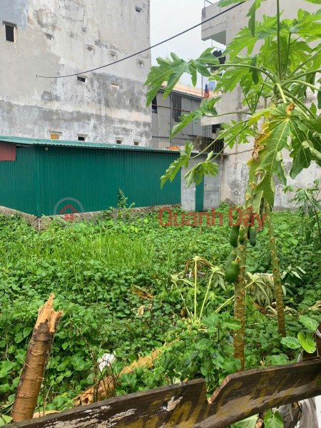 HOTT HOTT - OWNER Needs to Sell Quickly Beautiful Land - Good Price at Lane 2, Road 18, Giang Lieu, Que Vo, Bac Ninh Vietnam, Sales, đ 2.95 Billion