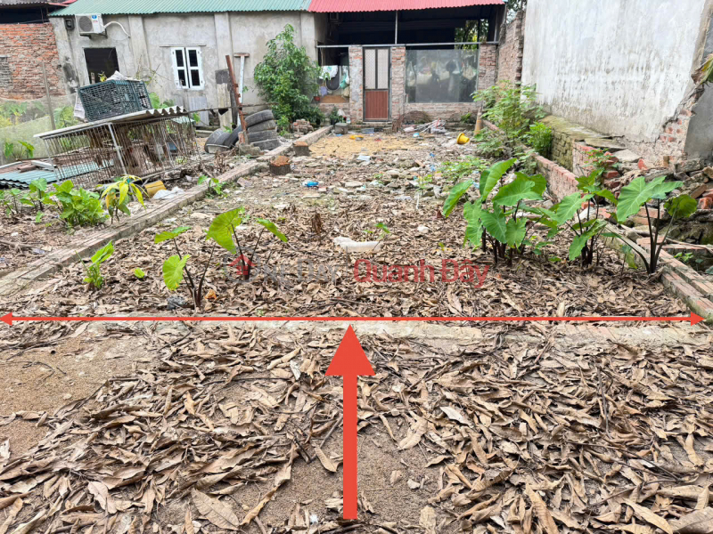 Property Search Vietnam | OneDay | Nhà ở Niêm yết bán | Cơ hội đầu tư BDS Kim Hoa, Mê Linh. Sổ đỏ chính chủ. Đón sóng đường vành đai 4