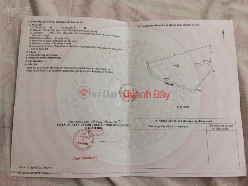 Land for sale at Ring Road 4, Tan My Commune, Bac Tan Uyen, Binh Duong, 26 billion, 21000 m2 Sales Listings