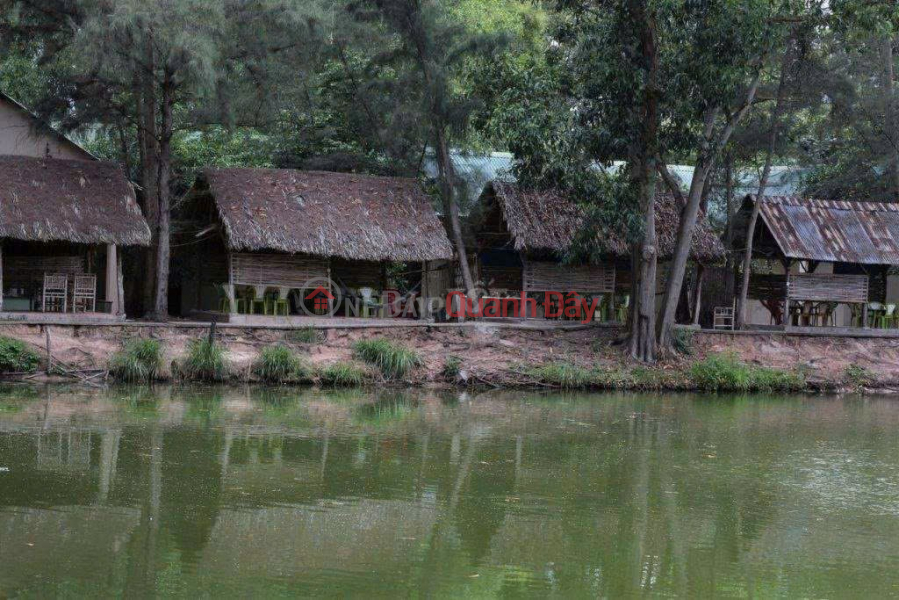 PRIME LAND – GOOD PRICE – OWNER SELLING ECO-TOURISM AREA in Ham Liem commune, Ham Thuan Bac district, Binh Thuan province Sales Listings