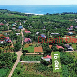 Selling land plot of 245m2 (7x35m) in Cua Tung town beach area. _0