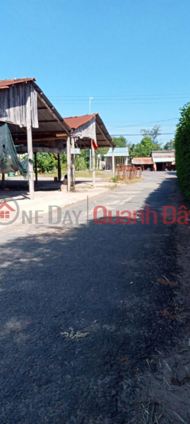 Beautiful Land - Good Price - Owner Needs to Sell Land Lot in Nice Location in Tan Bien District - Tay Ninh Sales Listings