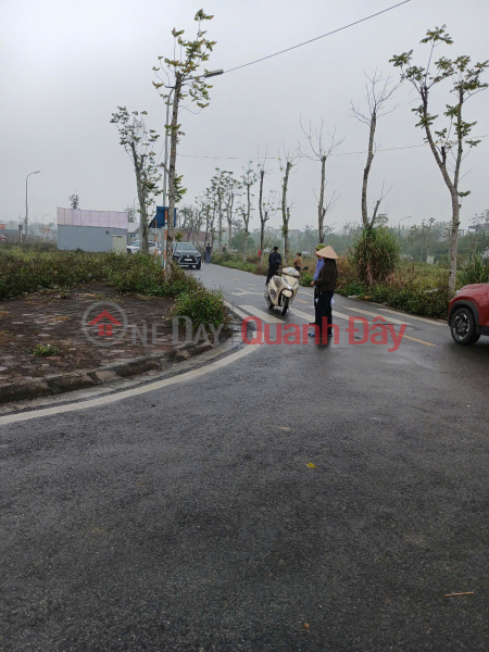 HOT! OWNING AUCTION LAND - BEAUTIFUL LOCATION IN NGOC MY - QUOC OAI - HANOI Sales Listings