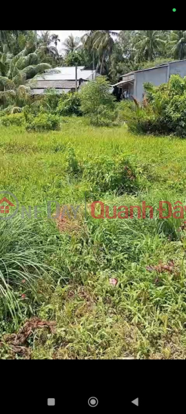 Property Search Vietnam | OneDay | Residential, Sales Listings, HOT HOT! - Owner Needs to Sell 2 Lots of Land in Phuong Thanh commune, Cang Long district, Tra Vinh province