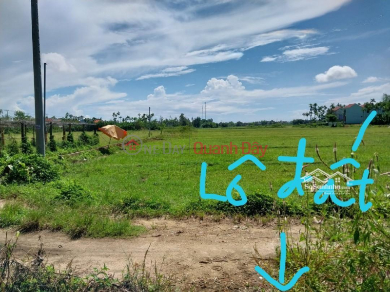 Property Search Vietnam | OneDay | Residential Sales Listings | BEAUTIFUL LAND - Owner for sale Land Lot with Rice View, East facing, rare in Cam Kim, Hoi An, Quang Nam