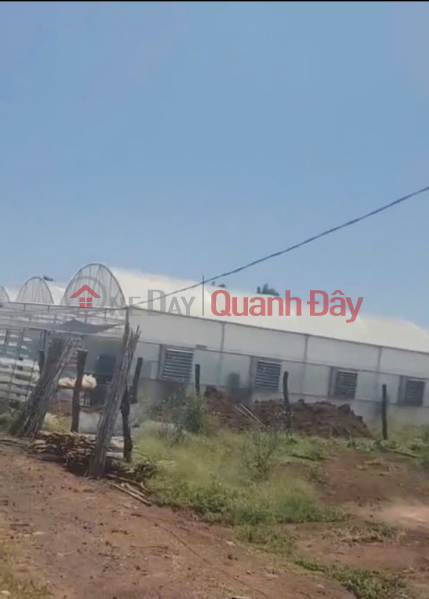 House and garden for sale, 1000m2, Duc Trong – Lam Dong - price 3.25 billion VND. Sales Listings