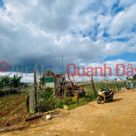 Bán đất 198m2 đất tổ 34 - thị trấn Liên Nghĩa - Đức Trọng - Lâm Đồng 2 tỷ Bán đất 198m2 đất tổ 34 - thị trấn Liên Nghĩa - Đức Trọng - Lâm Đồng 2 tỷ _0
