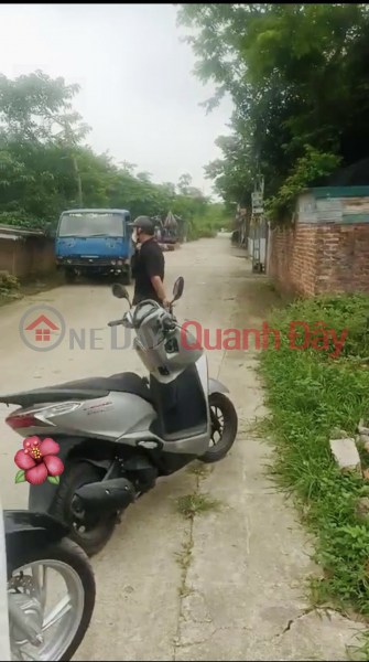 Property Search Vietnam | OneDay | Residential Sales Listings Now showing Super product land with truck road, area 69m, Price 3xtr\\/mx as equal to 0