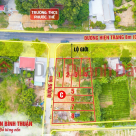 Quickly Own Binh Thuan Beach Land Lot 105m2, 29m road, Near Highway - Industrial Park - Seaport - Yard _0