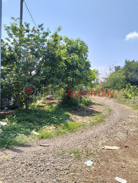 Owner selling land with house included. Address: Bao Quang Commune, Long Khanh City, Dong Nai Province., Vietnam | Sales đ 750 Million
