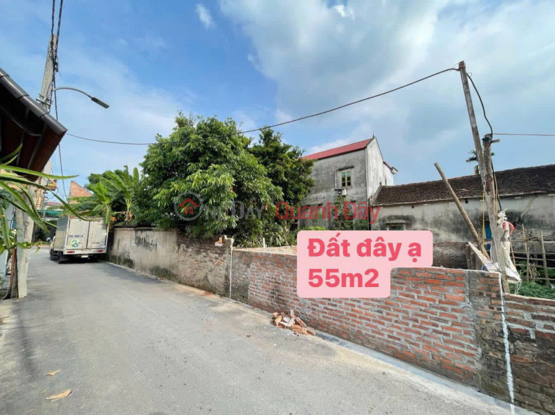 Property Search Vietnam | OneDay | Nhà ở | Niêm yết bán, Cực Hot! 55M thổ cư Trục Chính đường nhựa Đông Anh - 4 tỷ