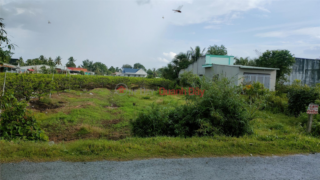 Property Search Vietnam | OneDay | Residential | Sales Listings Busy residential area - Tay Ninh potential land is convenient for business!