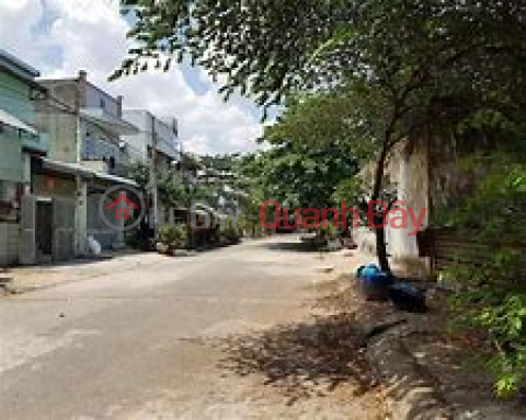 2) House for sale facing Ba Diem 9 Street, Nam Lan Hamlet, Ba Diem Commune, Hormone District, Ho Chi Minh City _0