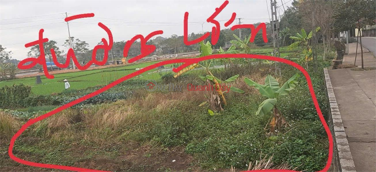 OWNER Needs to Quickly Sell 2 LOT OF LAND in Dong Tinh Commune, Tam Duong District, Vinh Phuc. Sales Listings