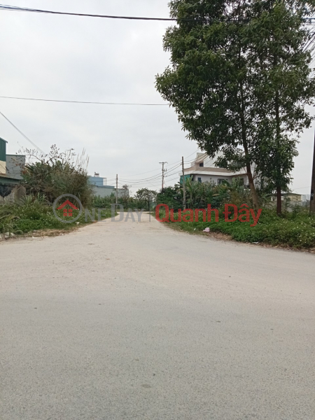 The owner sells a plot of land fronting 8.75m road in Quyet Thang village, Quang Thinh commune - Thanh Hoa city. Sales Listings