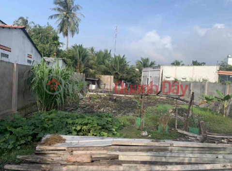 OWNER NEEDS TO SELL BEAUTIFUL FRONT LOT OF LAND IN Cai Be Town, Cai Be District, Tien Giang _0