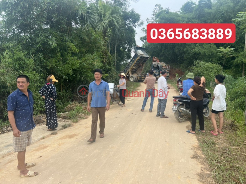 Property Search Vietnam | OneDay | Residential, Sales Listings subdivision of land plot for residential area tho Binh million paint, area 200m2