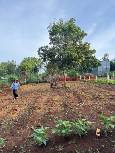 Property Search Vietnam | OneDay | Residential | Sales Listings | BEAUTIFUL LAND - GOOD PRICE - URGENT SALE Potential Land Lot In Dong Thanh Commune, Lam Ha, Lam Dong