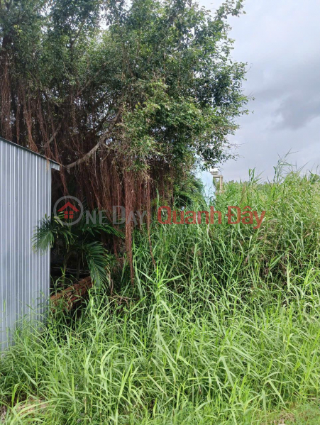 Property Search Vietnam | OneDay | Residential Sales Listings, OWNER Sells Land Frontage on Phung Hiep National Highway in Tan Thanh Commune, Gia Rai Town, Bac Lieu