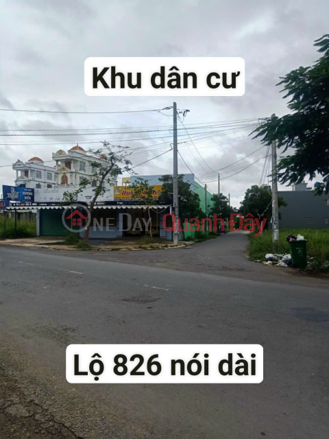 The owner sends and sells corn land (DUCHU-7093194413)_0